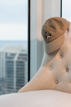 Load image into Gallery viewer, Signature SR Hats